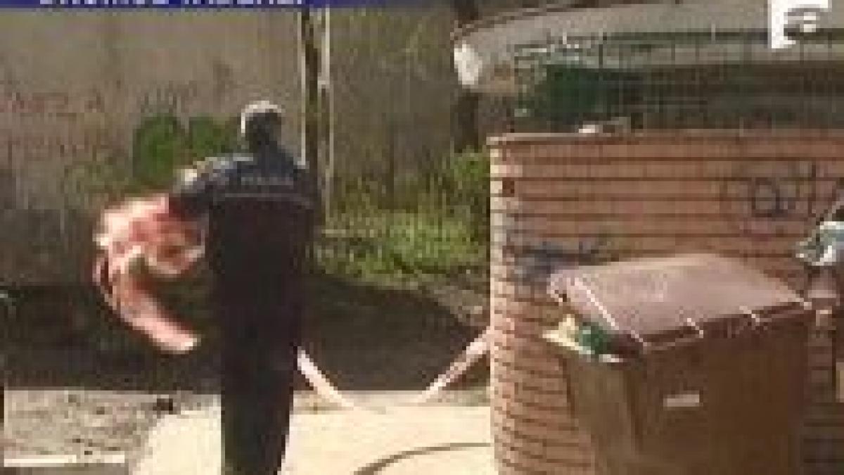 bucuresti si a aruncat fetita de numai 7 luni la gunoi