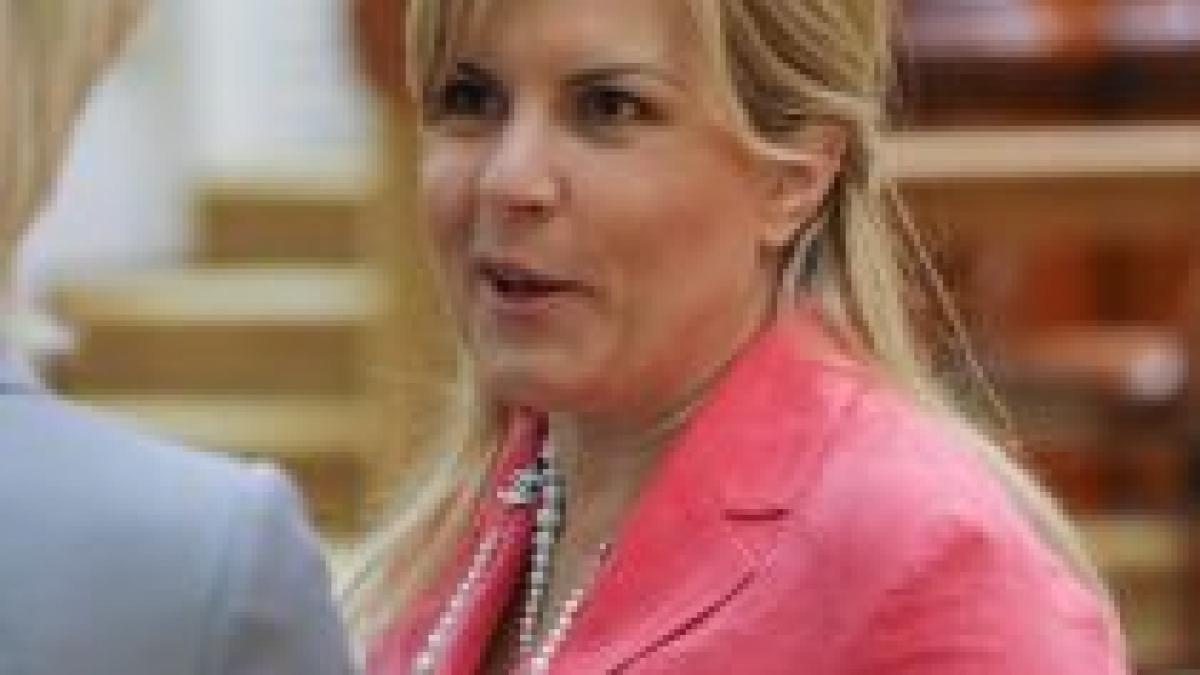 udrea liviu negoita varianta pdl pentru presedintie in 2014