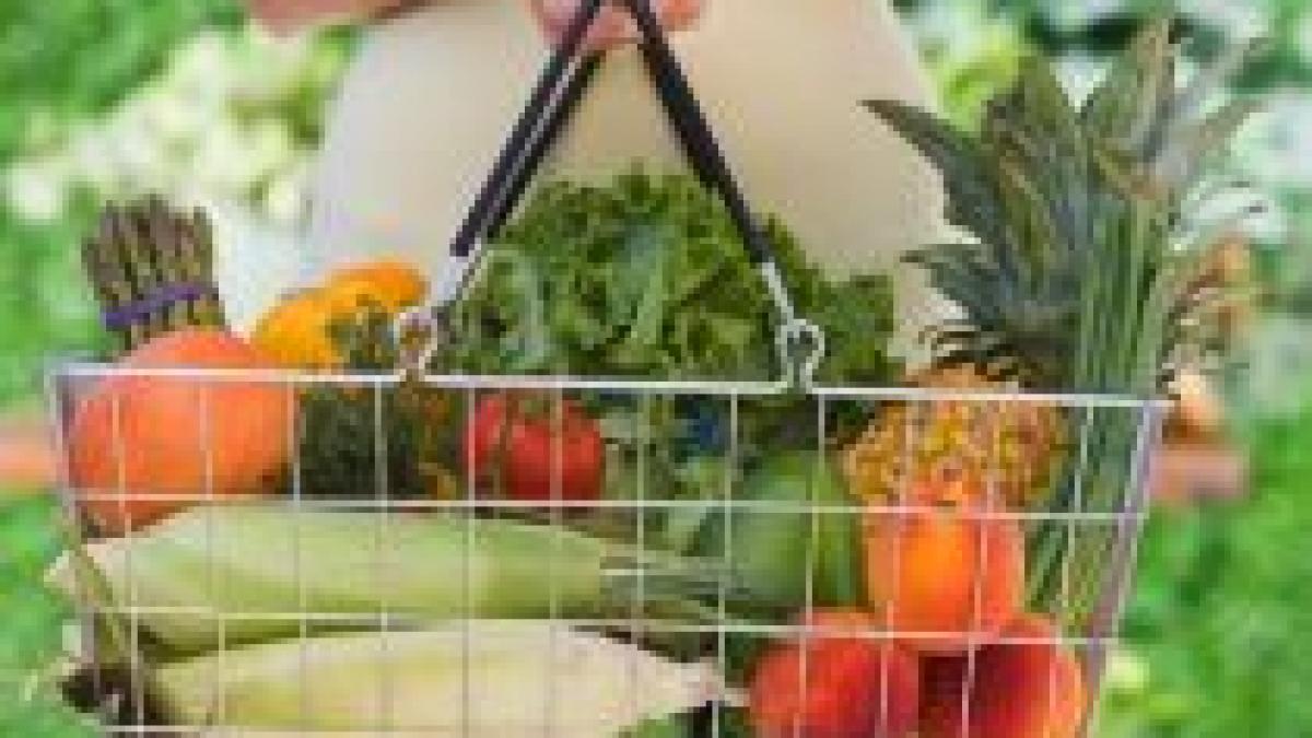 alimentele modificate genetic distrug rinichii ficatul pancreasul ori aparatul genital