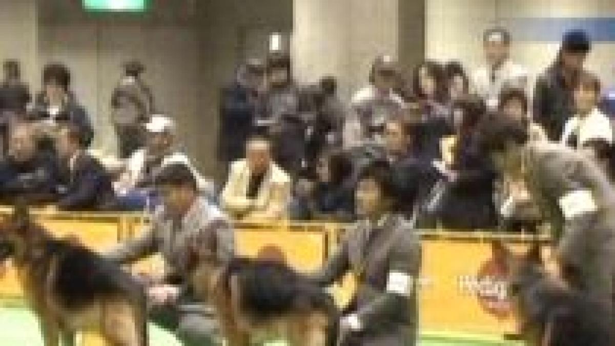 japonia 2500 de caini au participat la cel mai mare concurs de frumusete canina din lume video