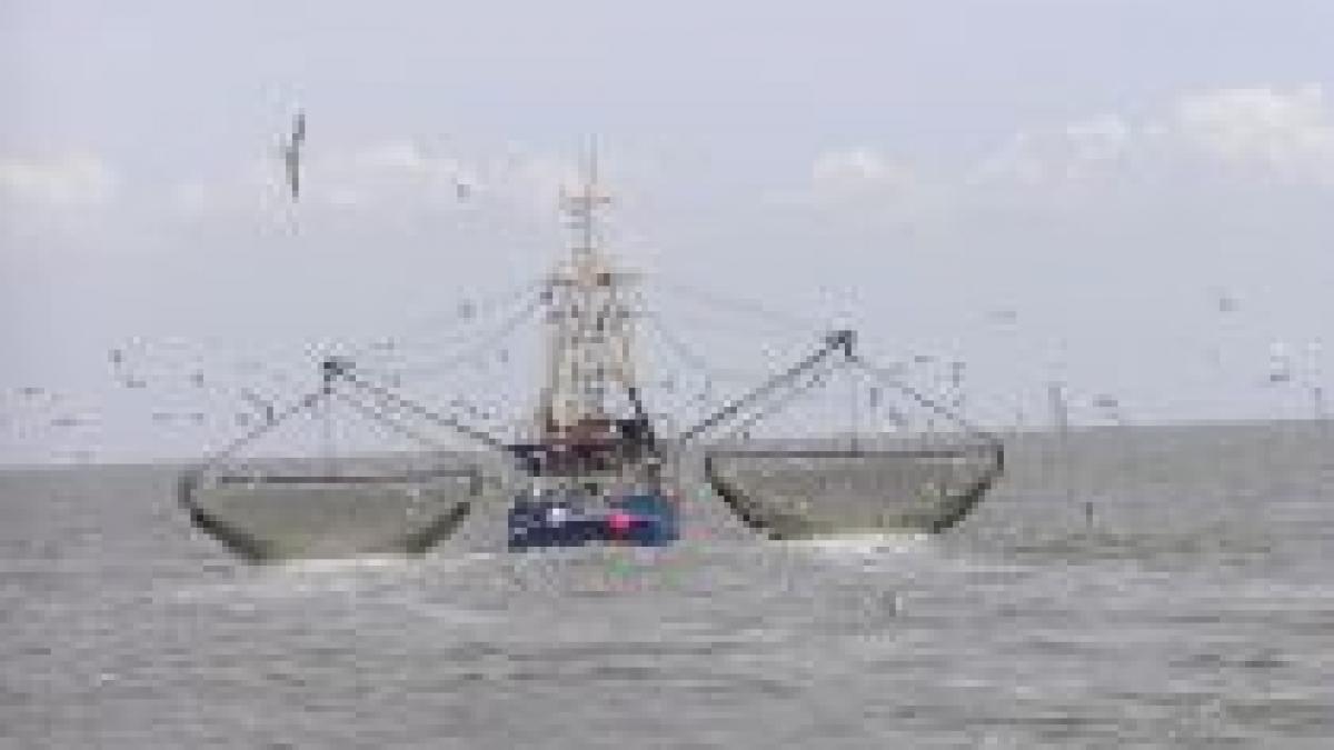 pescadoare turcesti retinute in marea neagra pentru braconaj politistii au tras focuri de arma video