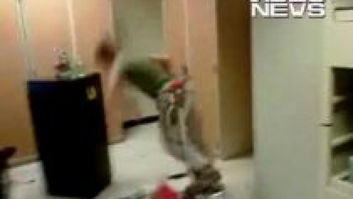 un soldat american se invarte pana musca din dulap video