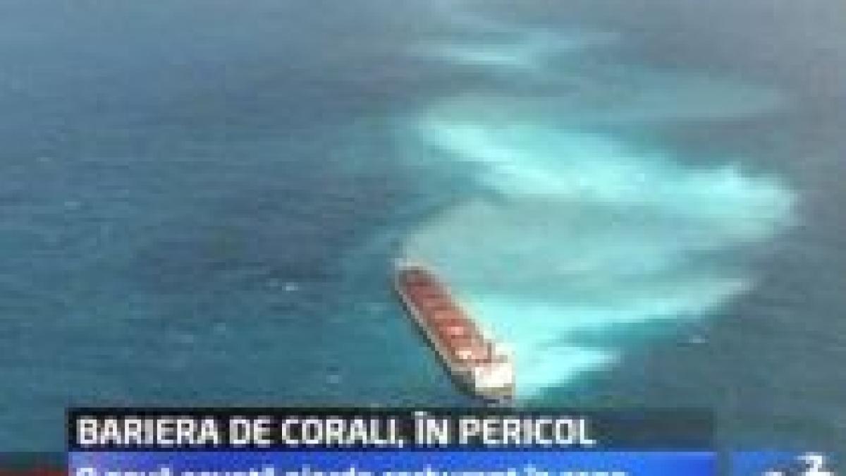 Marea Barieră de Corali din Australia, ameninţată de un val de petrol