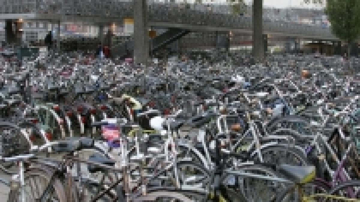 bucurestenii pot inchiria gratuit biciclete in parcurile herastrau si kiseleff