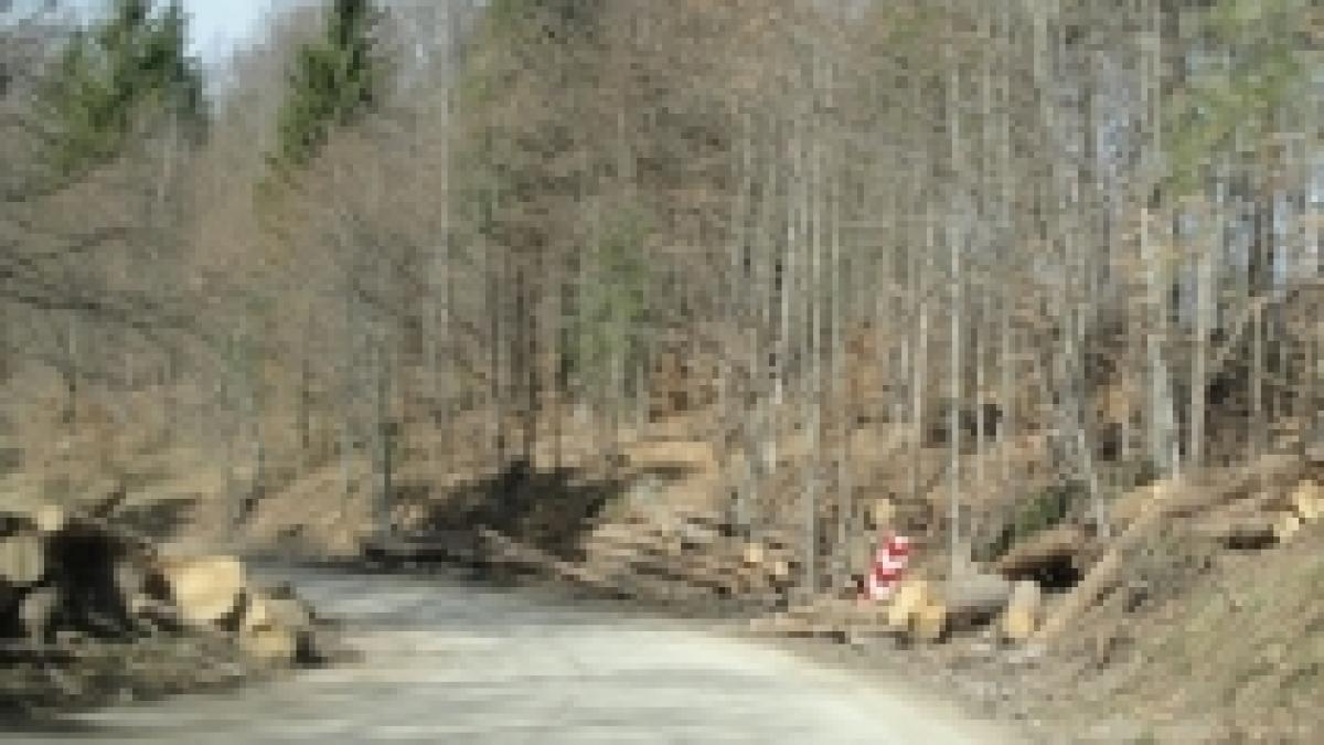turist in romania drumul dintre bixad si baile balvanyos intr o stare deplorabila foto