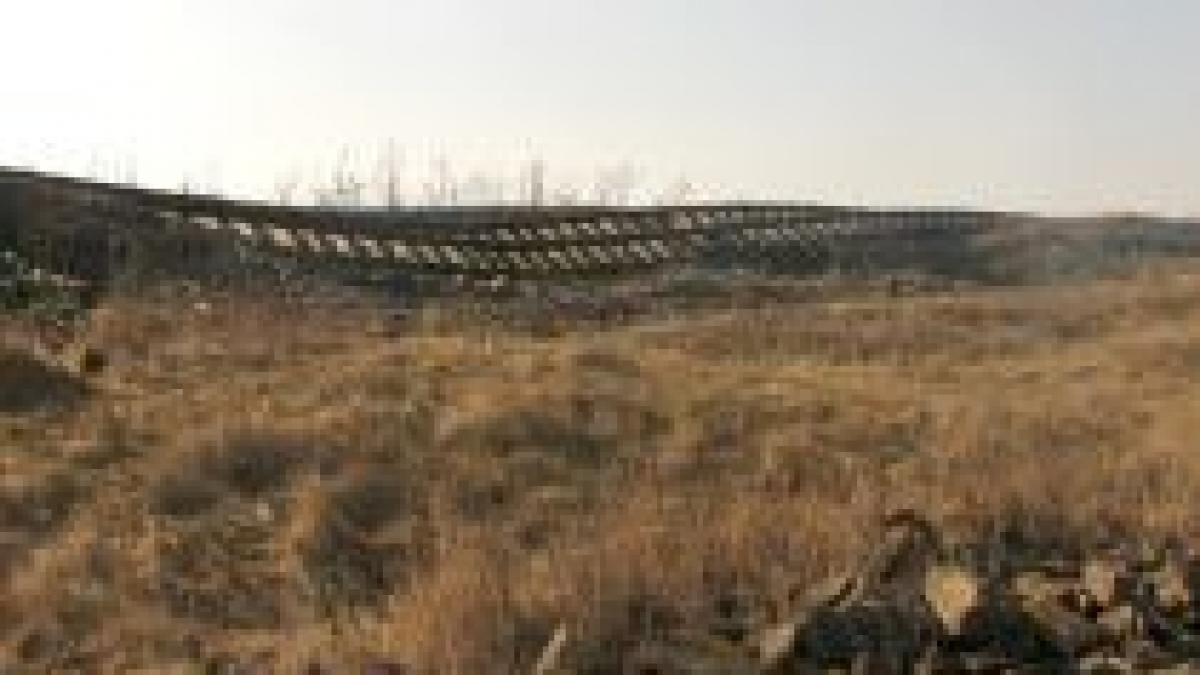 investitorii straini interesati de romania la un pas de a se muta la bulgari