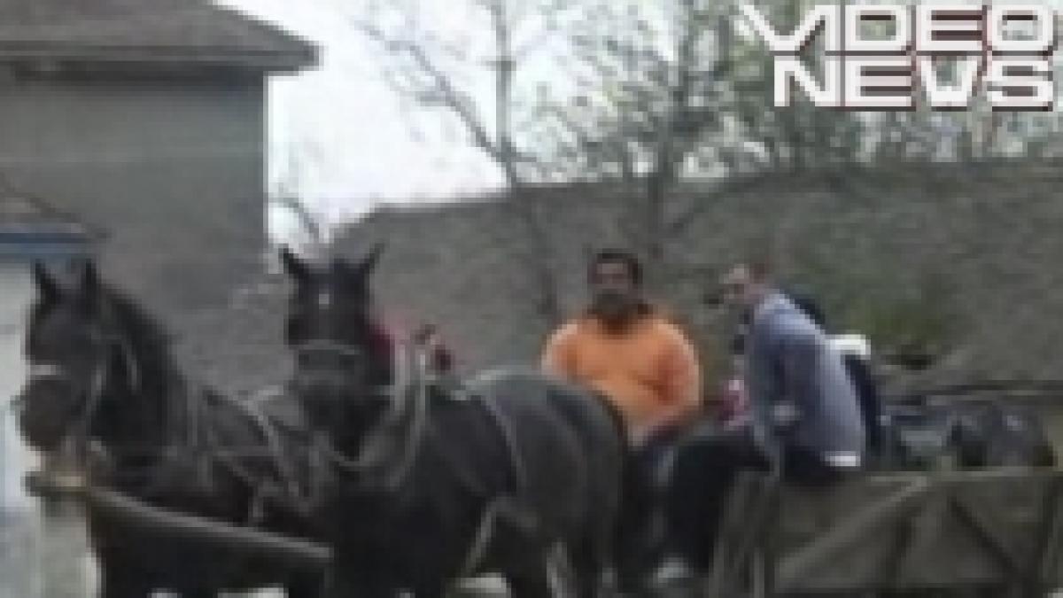 romii dintr un sat din caras severin vor placute bilingve in romana si romanes video