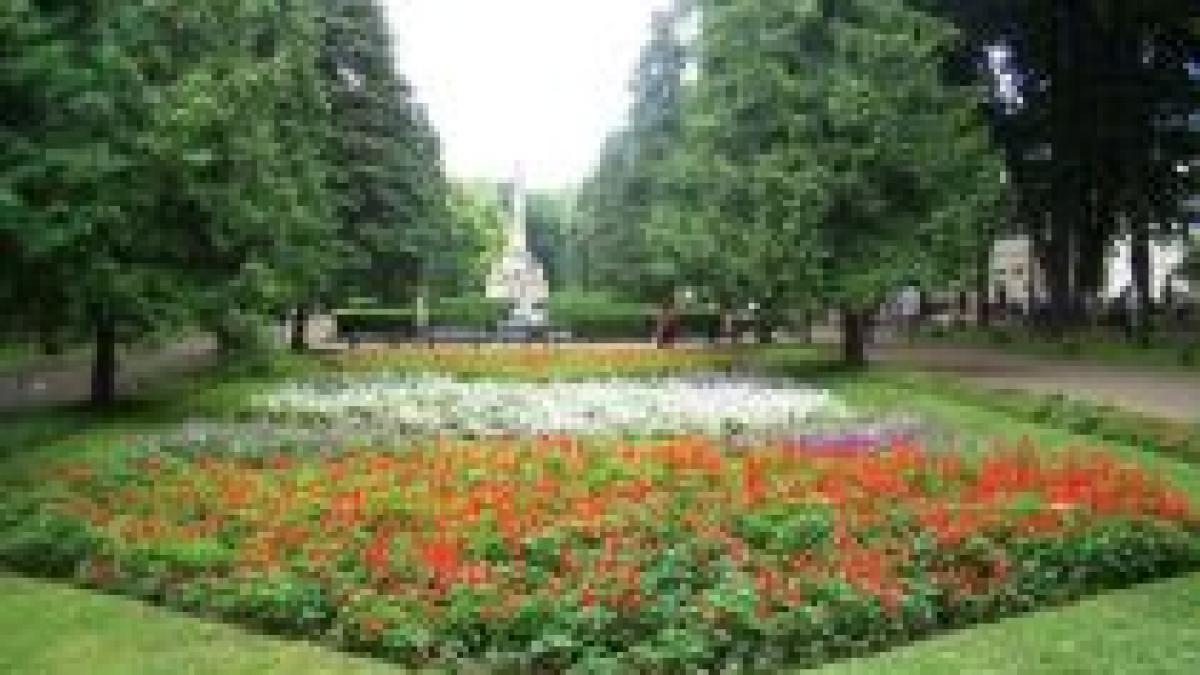 iasi cinci adolescenti raniti dupa ce un copac din parcul copou s a prabusit video