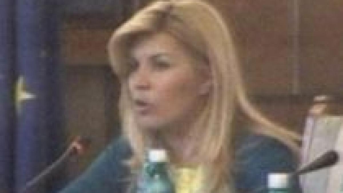 udrea la tel verde pentru turistii blocati in romania au sunat 75 de persoane