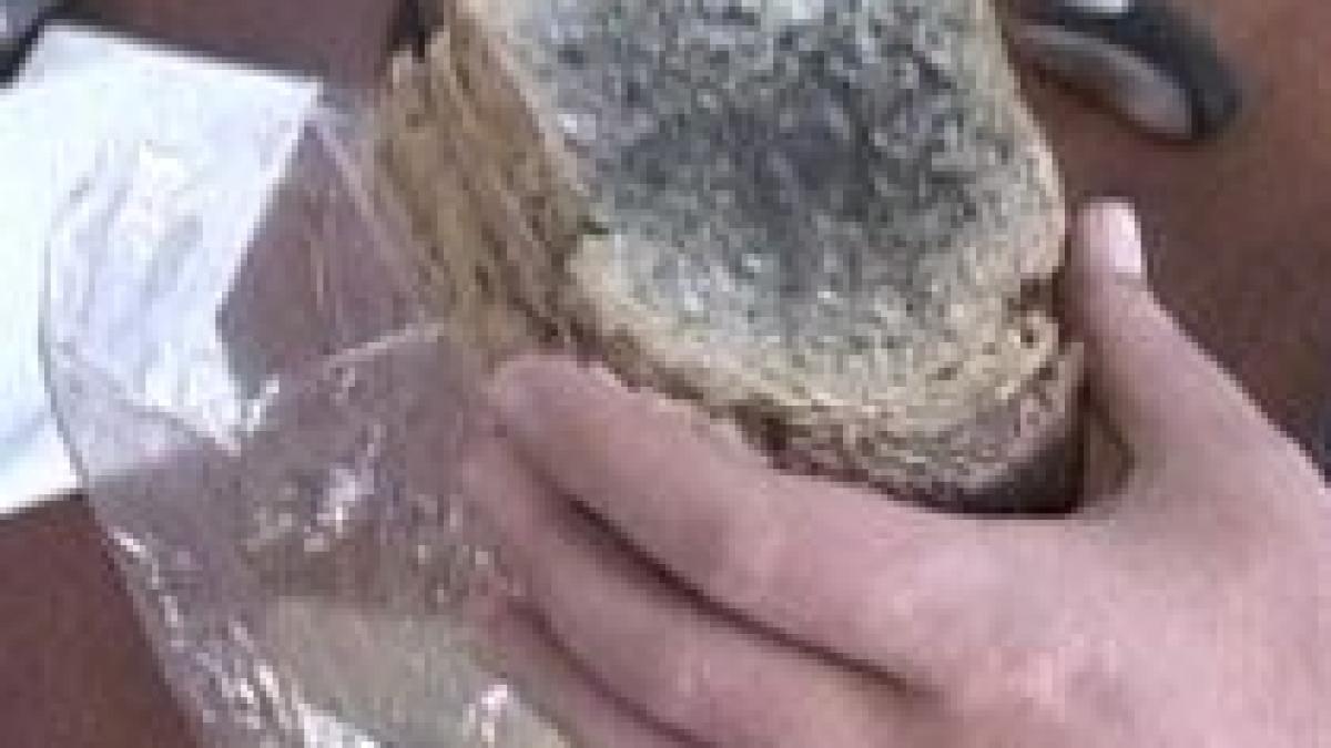 paine cu xilina in cora pantelimon cel putin pe eticheta