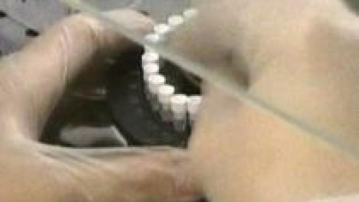 romania ramane fara vaccinul impotriva tuberculozei pana la sfarsitul anului video