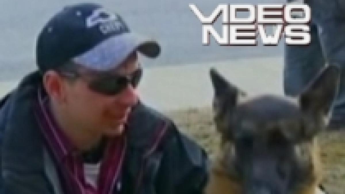 un catel din alaska si a salvat stapanul din incendiu ajutand politia sa gaseasca drumul spre el