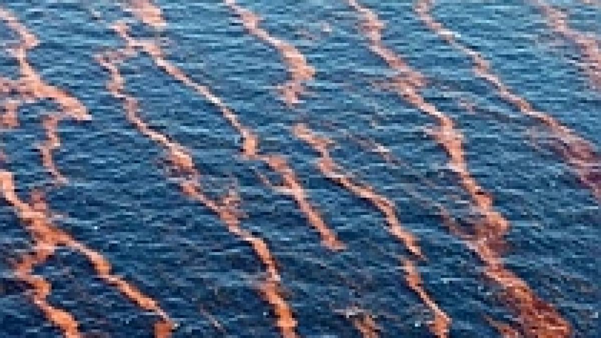 golful mexic aproape de o catastrofa ecologica dupa o noua scurgere de petrol video