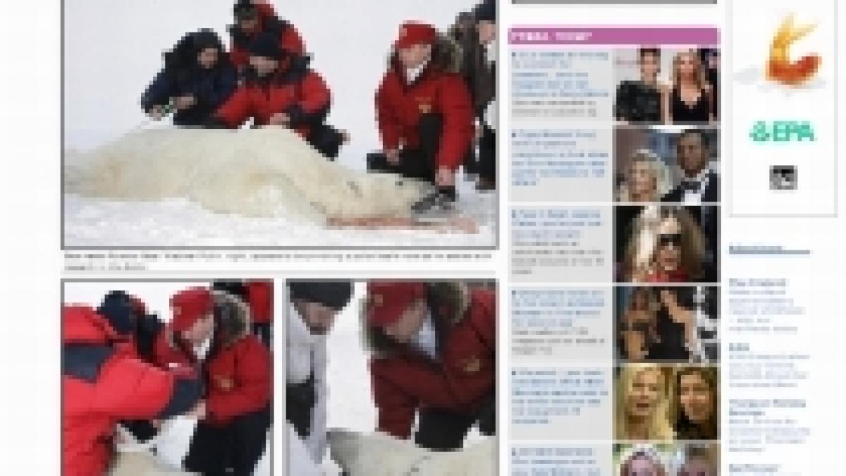 putin fotografiat in timp ce monta o zgarda cu emitator la gatul unui urs polar foto