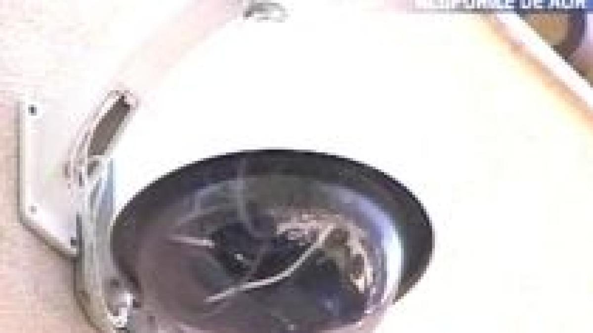 bulgaria mai multi romani au ramas fara masinile parcate in fata hotelului