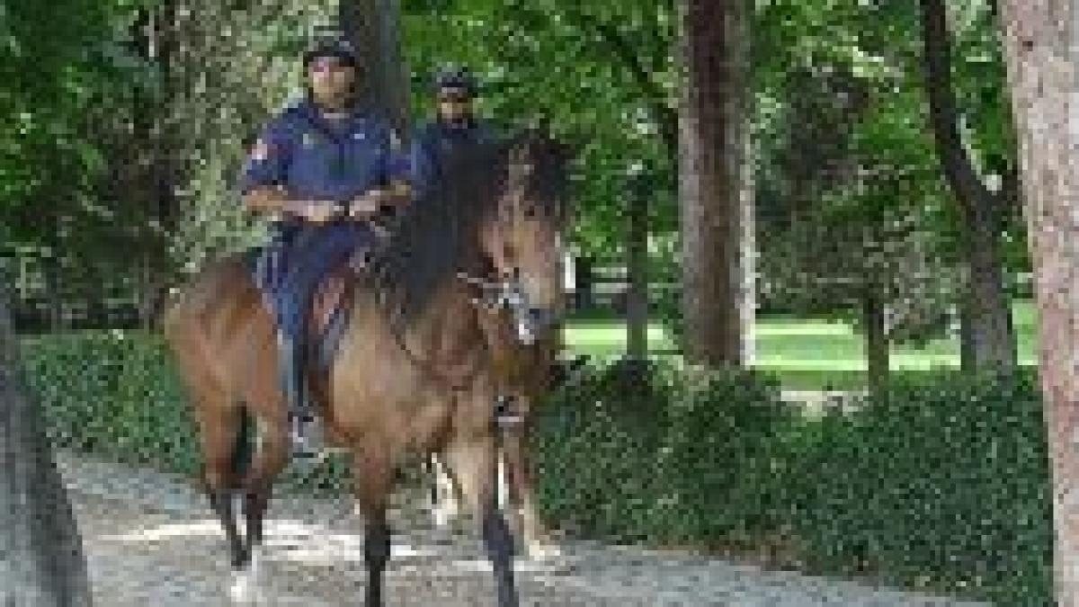 patrule calare in parcurile tineretului si carol instituite de duminica de politia locala din