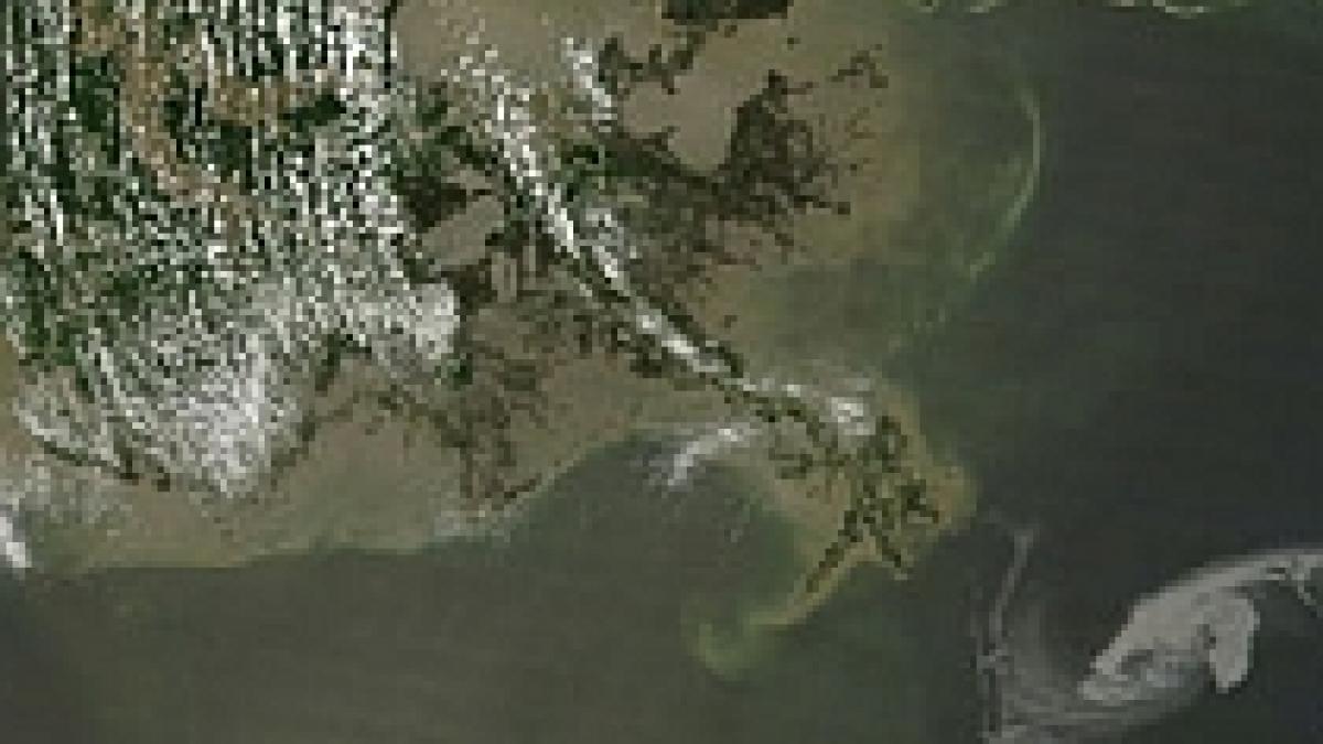 golful mexic sua se pregateste pentru cel mai mare dezastru ecologic