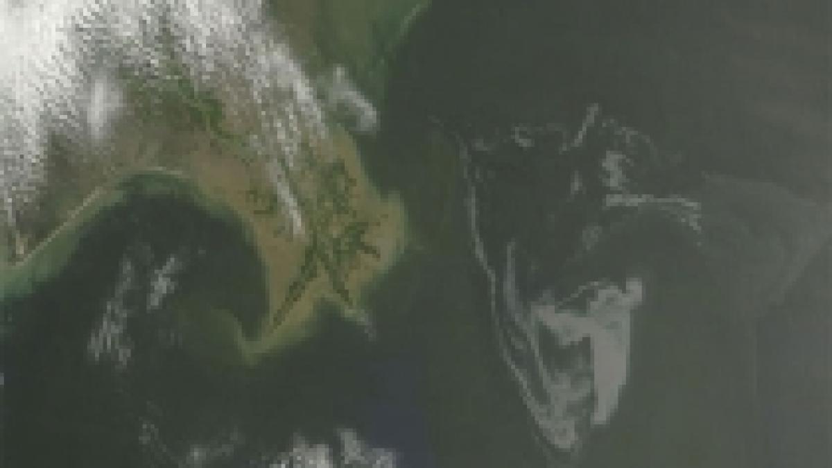 nasa a facut publice imagini din satelit ale dezastrului petrolier din golful mexic foto