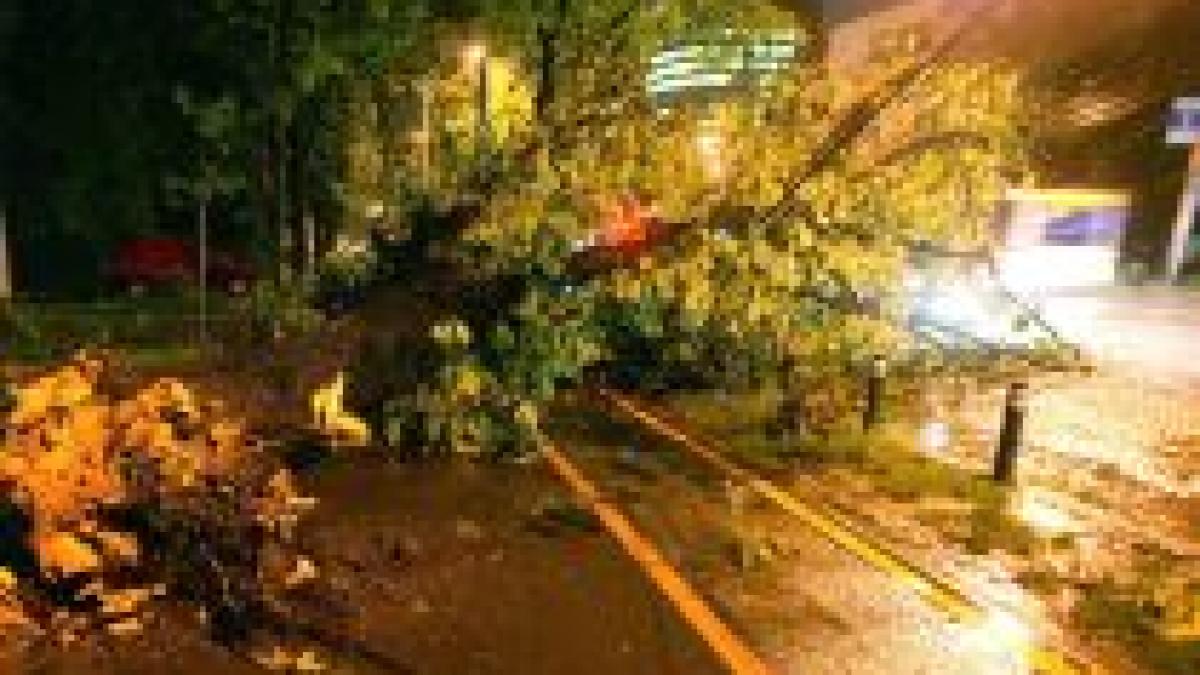 ploi si rafale de vant in capitala vezi imagini din timpul furtunii video