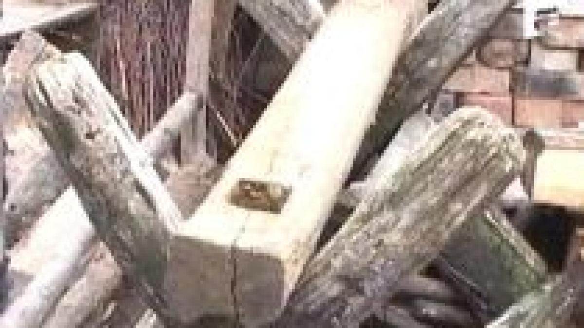 bistrita fetita de doi ani omorata din greseala de bunicul ei video