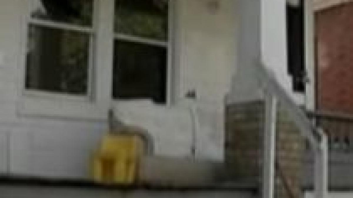 incident socant la detroit o fetita ucisa din greseala de glontul unui politist