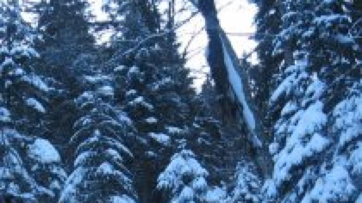 vremea capricioasa se intoarce muntii parang acoperiti de zapada vezi prognoza meteo