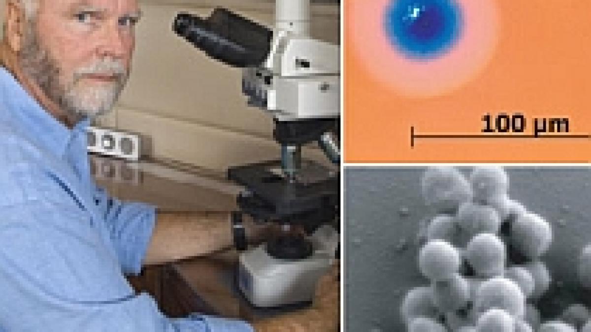 sua cercetatorii au creat prima viata artificiala