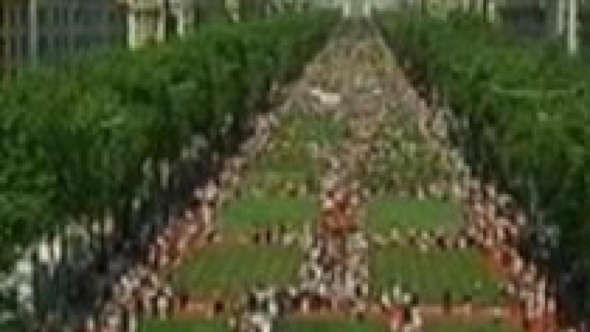 champs elysees transformat intr o uriasa ferma agricola video