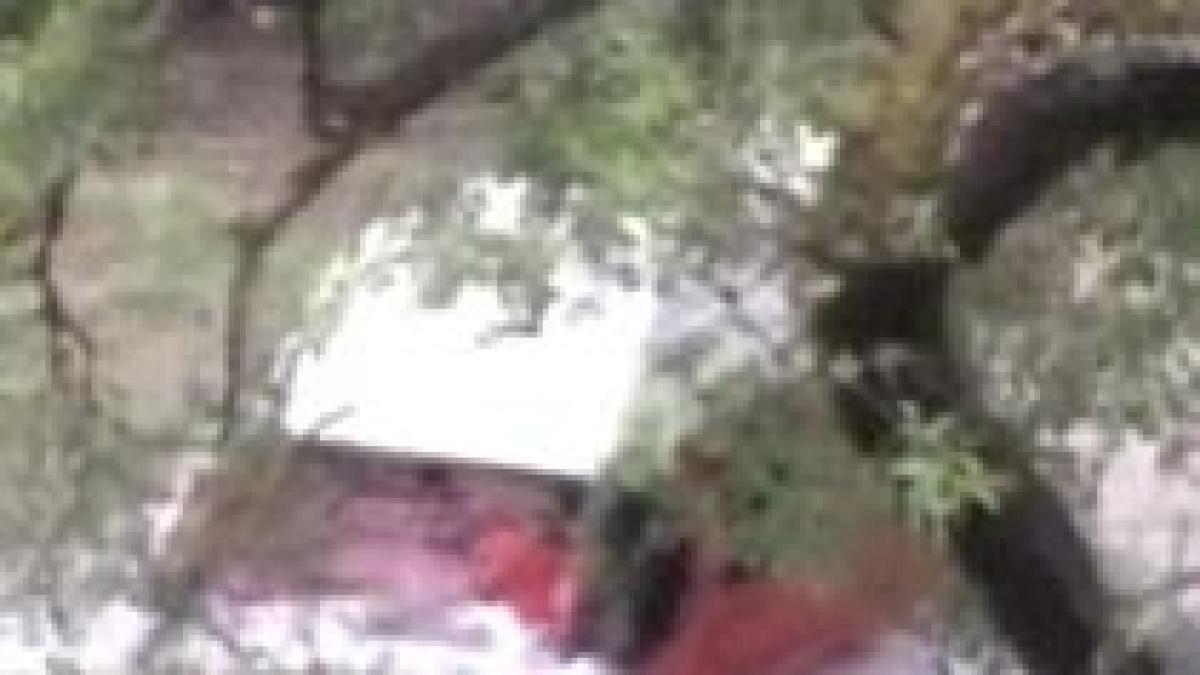 doi oameni au fost dusi de ape zeci de metri dupa ce dubita lor a cazut intr un rau video