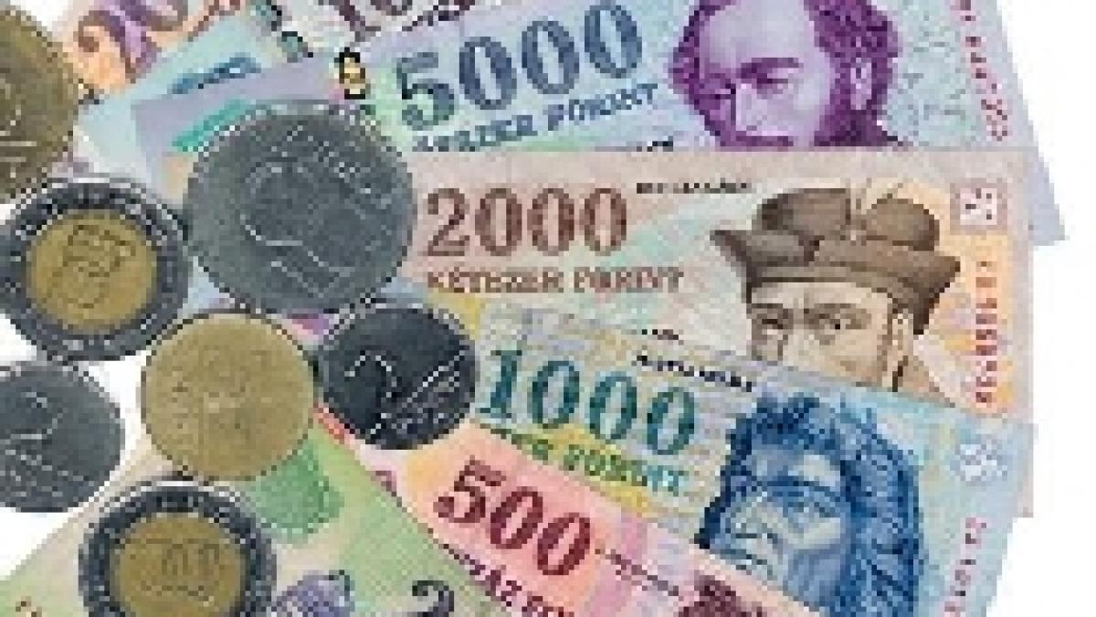 noul guvern ungar vrea sa reduca impozitele pentru stimularea cresterii economice