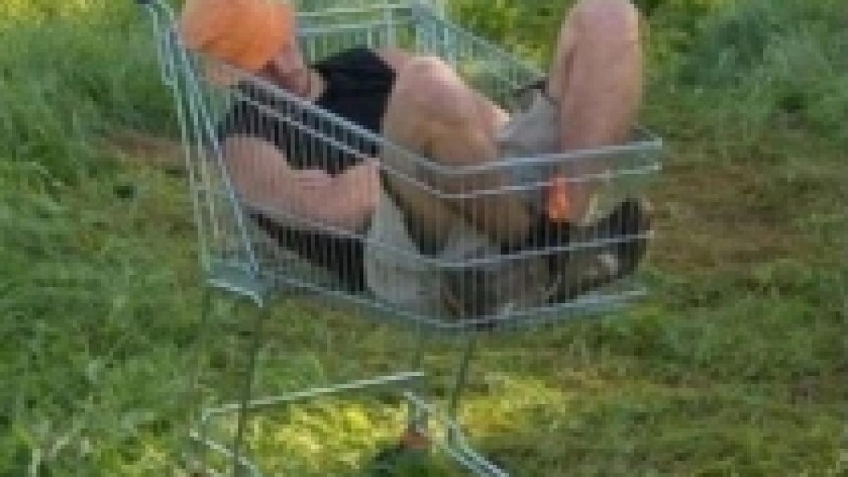 cele mai bizare locuri in care poti sa adormi foto