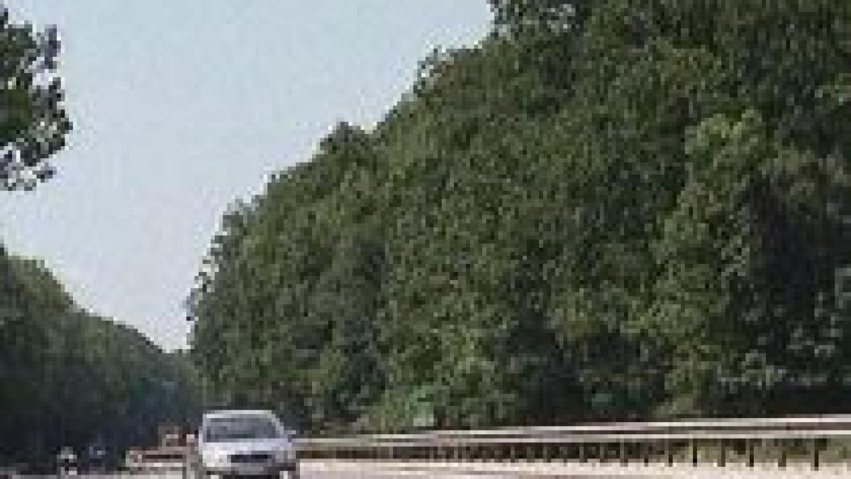 a incercat sa se sinucida ruland pe autostrada cu 140 de kilometri la ora pe contrasens