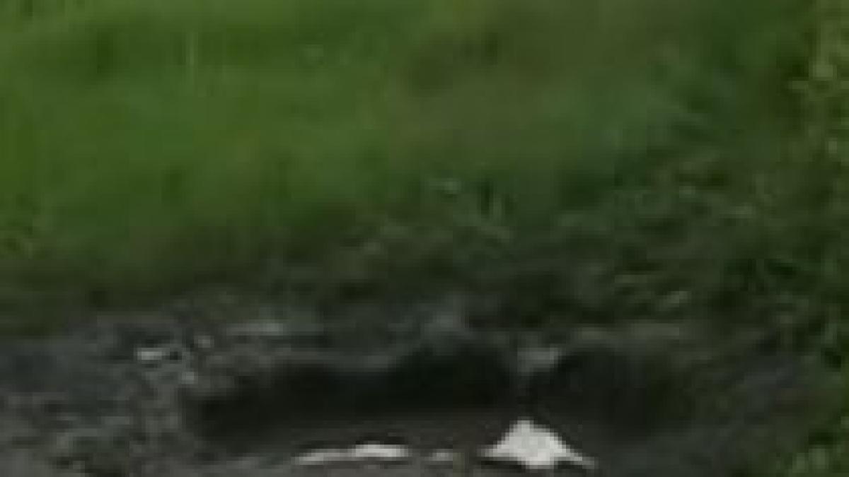 mures un copil a murit dupa ce a cazut intr o groapa plina cu apa aflata langa o scoala video