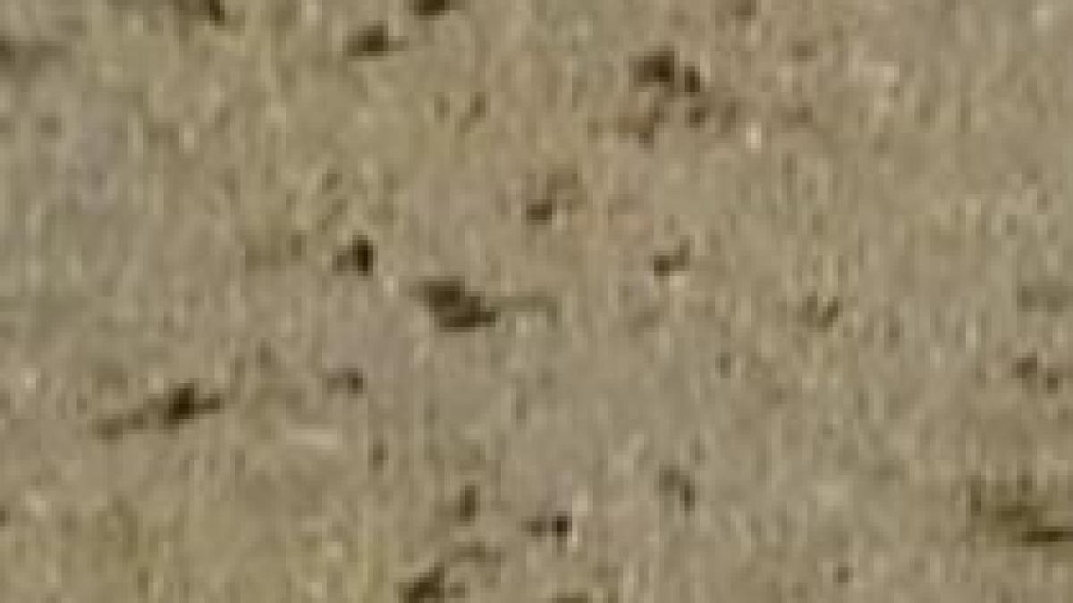 autostrada din grecia invadata de broscute video