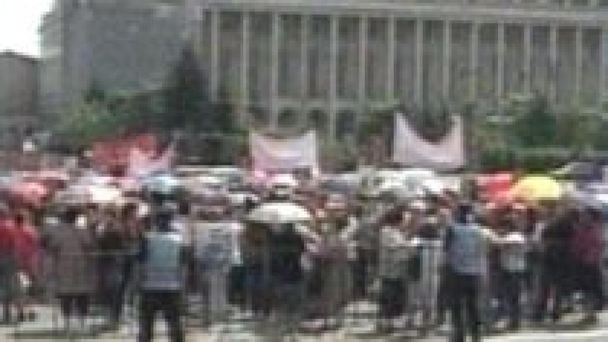 protest al femeilor din psd guvernul este impotriva familiilor si copiilor video