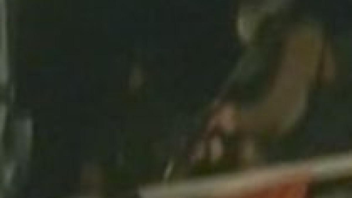 consiliul de securitate onu se reuneste de urgenta dupa atacul din largul fasiei gaza video