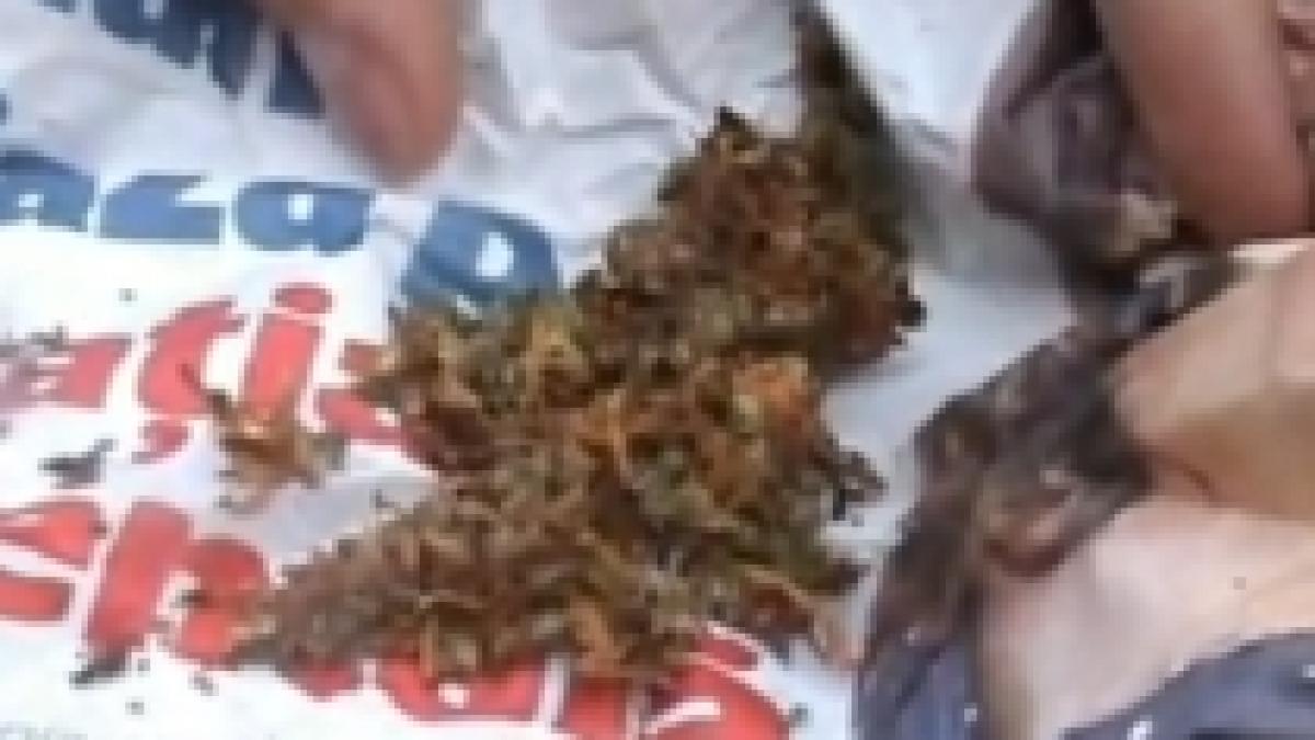 militar roman retinut pentru trafic de droguri video