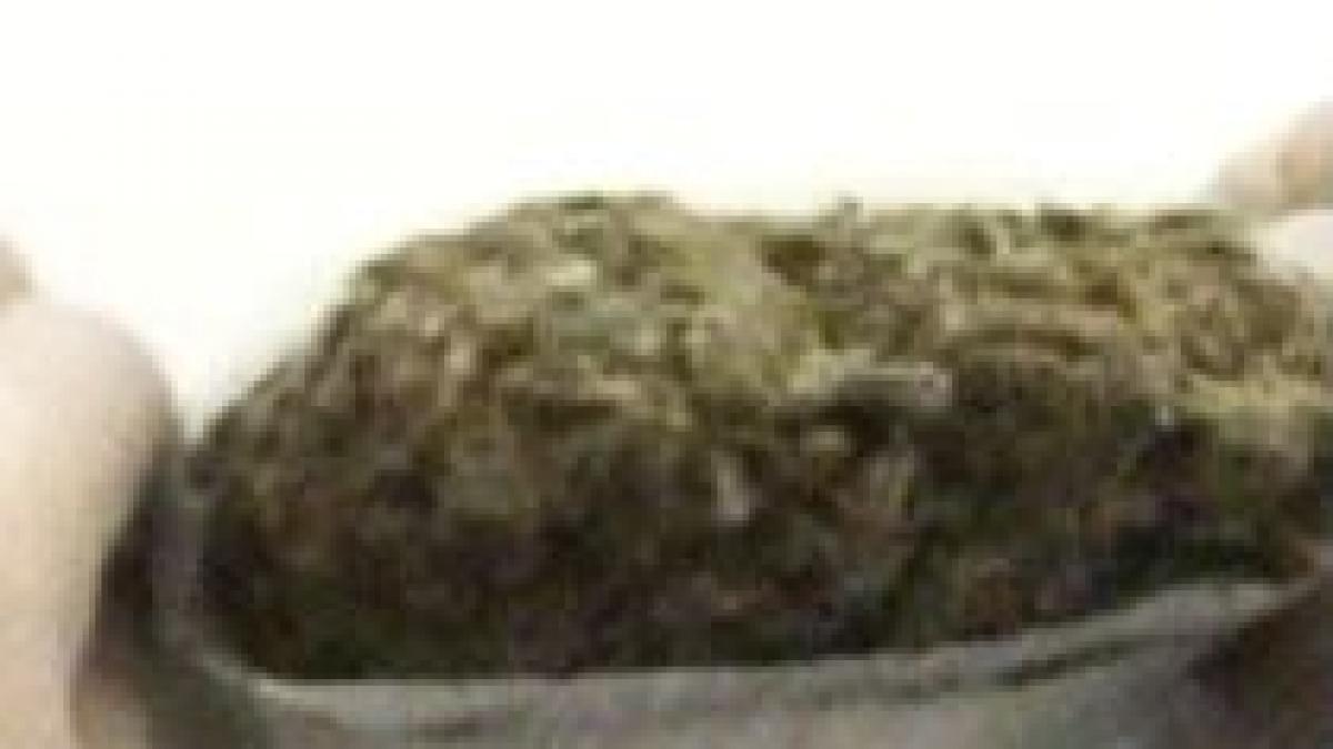 un spaniol si doi doljeni prinsi in timp ce transportau peste 25 kilograme de hasis