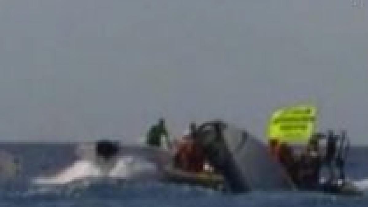 ciocniri violente intre activistii greenpeace si pescarii francezi din mediterana video
