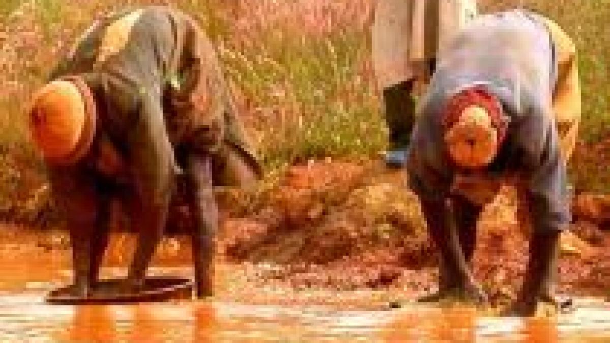 nigeria peste 160 de morti in urma intoxicarii cu plumb folosit in extractia miniera