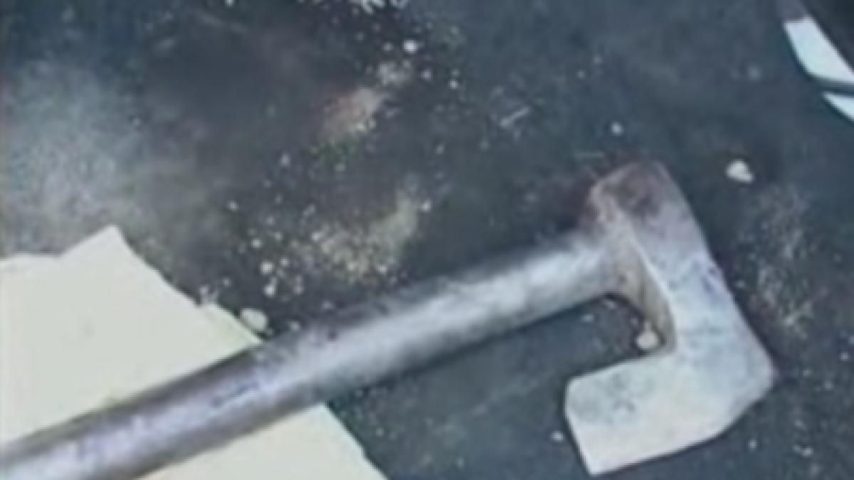 un dambovitean beat si a omorat calul in bataie sub privirile ingrozite ale unor copii imagini