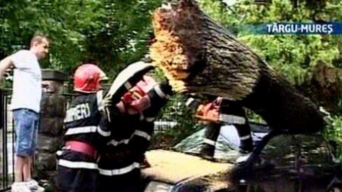 furtunile au facut ravagii in vestul tarii video