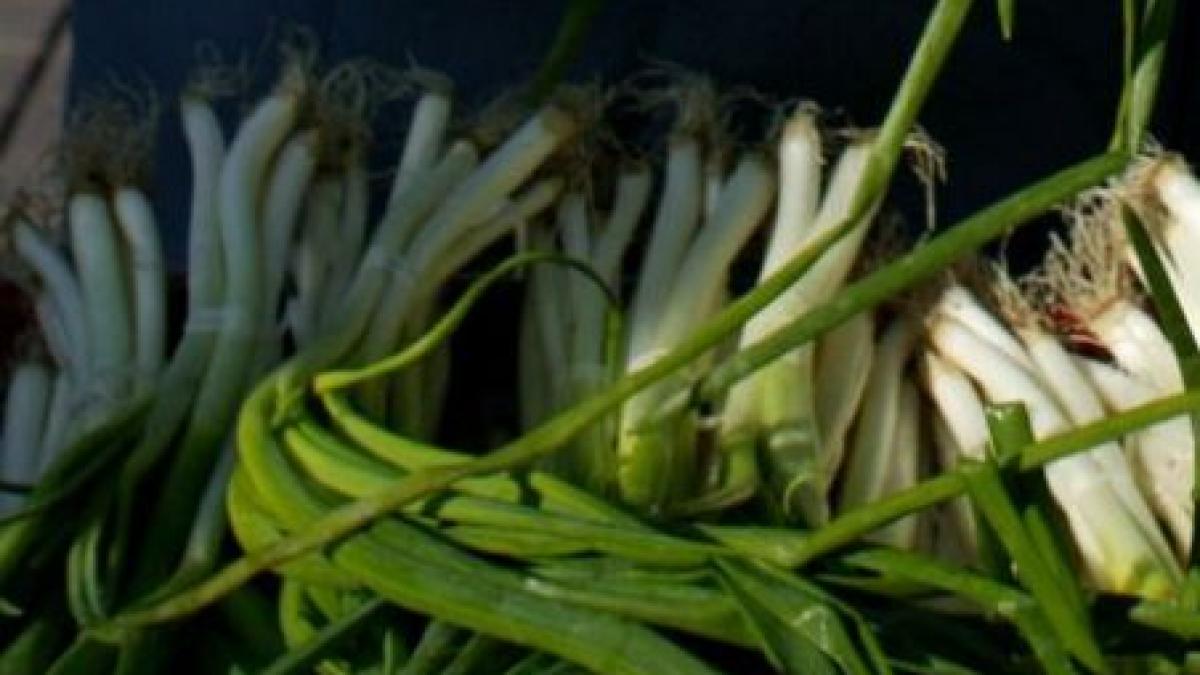 bistritean cercetat de politie dupa ce a furat ceapa verde din gradina unui preot