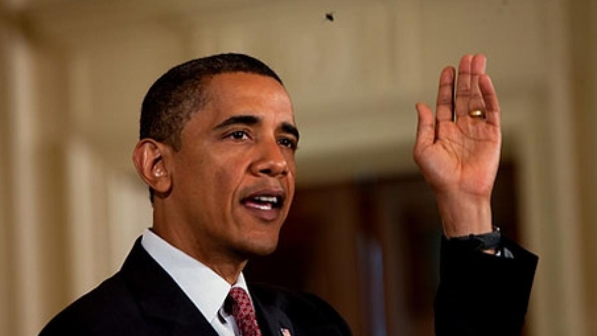 mustele trag la obama liderul american atacat din nou de o insecta video