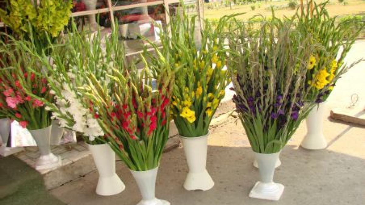 inspectorii anaf au inceput controalele in piete si florarii