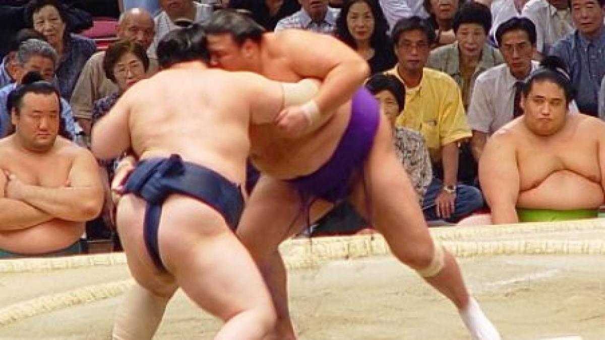 scandal luptele de sumo implicate in pariuri ilegale