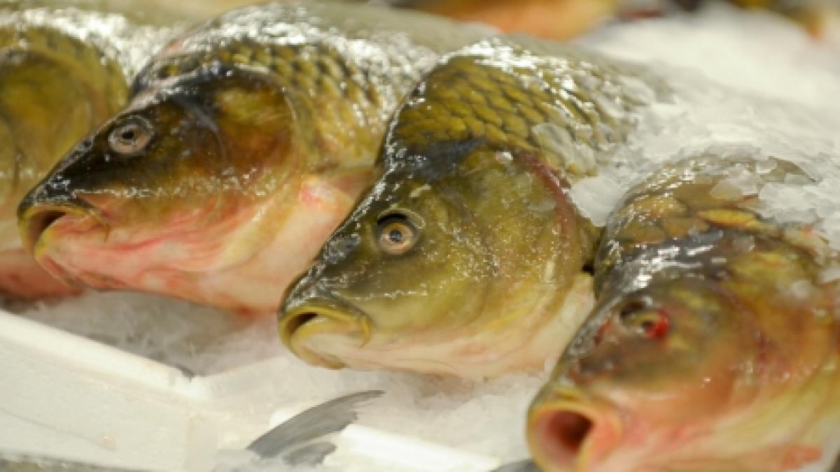 peste cu viermi la un magazin din brasov firma a fost amendata cu 15 000 de lei