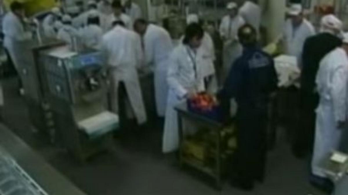 o univesitate din italia invata studentii cum sa faca inghetata perfecta video