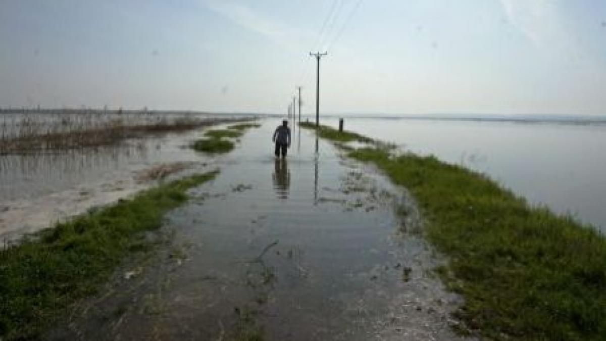 dunarea a depasit cote istorice in braila galati si fetesti la calarasi cota de inundatie a fost