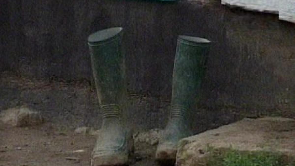 iasi o femeie bolnava psihic si a ucis barbatul cu lovituri de ciocan